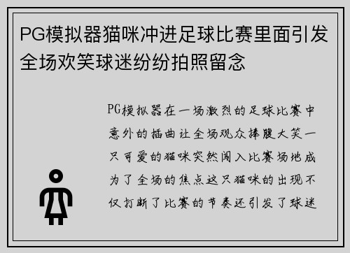 PG模拟器猫咪冲进足球比赛里面引发全场欢笑球迷纷纷拍照留念